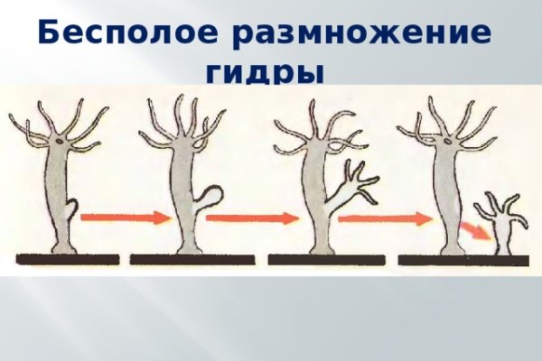 Кракен онион ссылка на тор