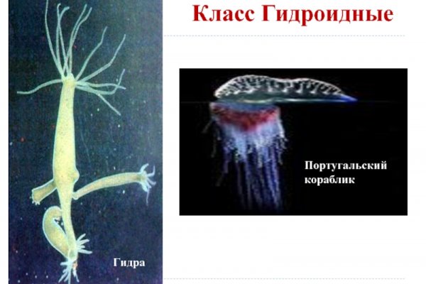 Зайти в кракен