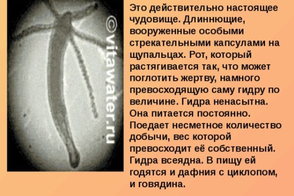 Кракен шоп нарк
