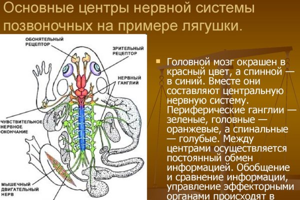 Кракен магазин kraken clear com